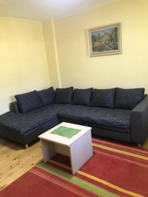 Bajina Bašta